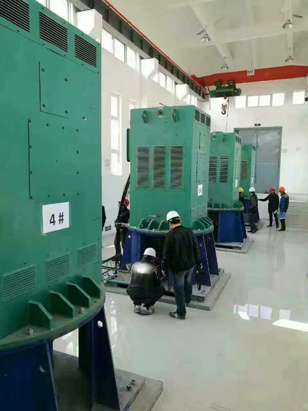 达拉特某污水处理厂使用我厂的立式高压电机安装现场