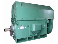 达拉特Y系列6KV高压电机